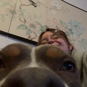 Meet your Posher, Annaliese